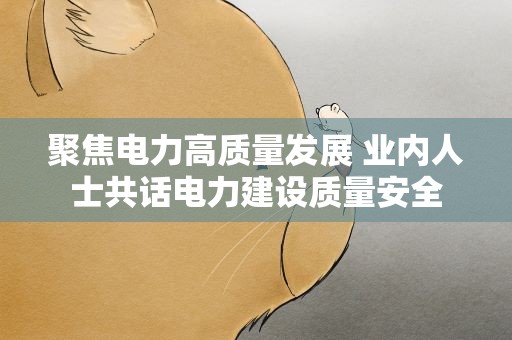 聚焦电力高质量发展 业内人士共话电力建设质量安全