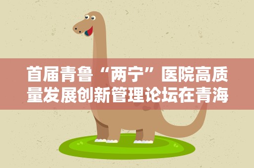 首届青鲁“两宁”医院高质量发展创新管理论坛在青海举行