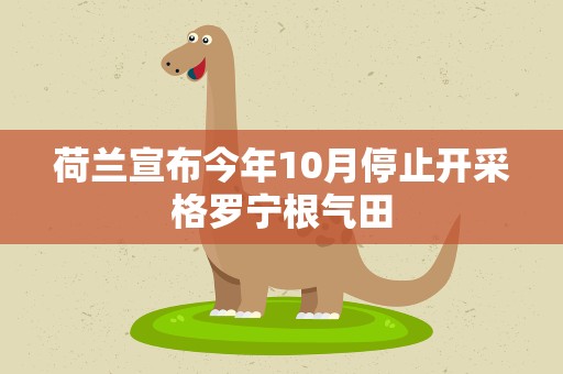 荷兰宣布今年10月停止开采格罗宁根气田