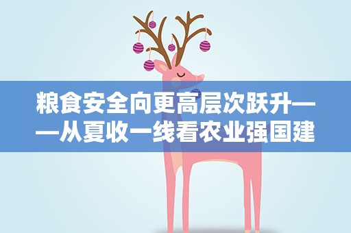 粮食安全向更高层次跃升——从夏收一线看农业强国建设之二