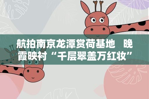 航拍南京龙潭赏荷基地 晚霞映衬“千层翠盖万红妆”