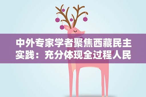中外专家学者聚焦西藏民主实践：充分体现全过程人民民主