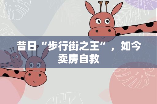昔日“步行街之王”，如今卖房自救