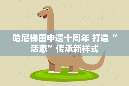 哈尼梯田申遗十周年 打造“活态”传承新样式