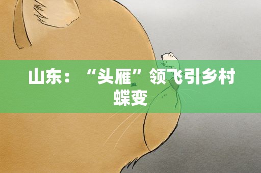 山东：“头雁”领飞引乡村蝶变