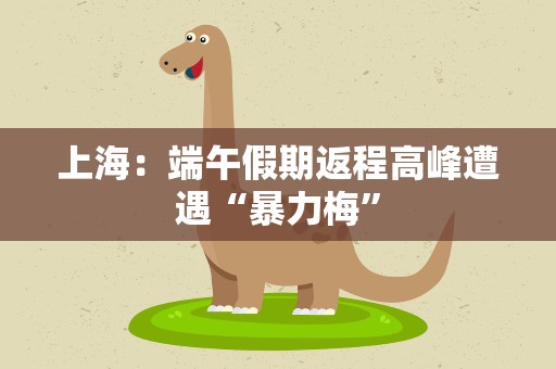 上海：端午假期返程高峰遭遇“暴力梅”