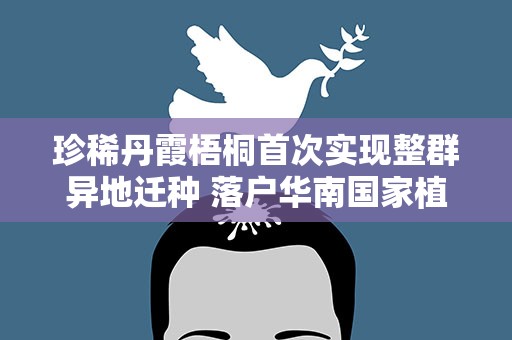 珍稀丹霞梧桐首次实现整群异地迁种 落户华南国家植物园