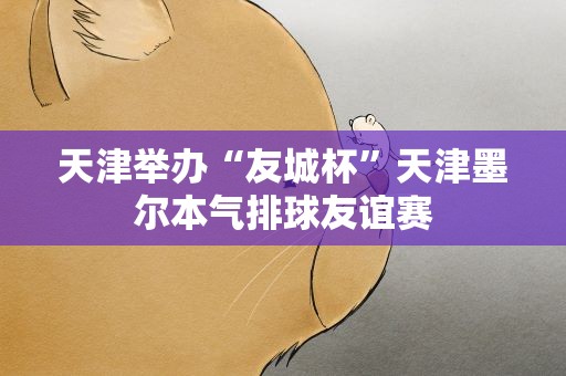 天津举办“友城杯”天津墨尔本气排球友谊赛