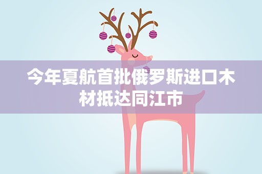 今年夏航首批俄罗斯进口木材抵达同江市