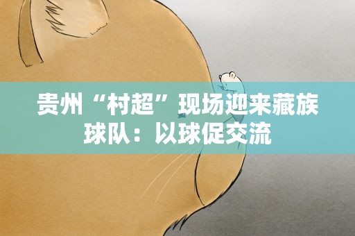 贵州“村超”现场迎来藏族球队：以球促交流
