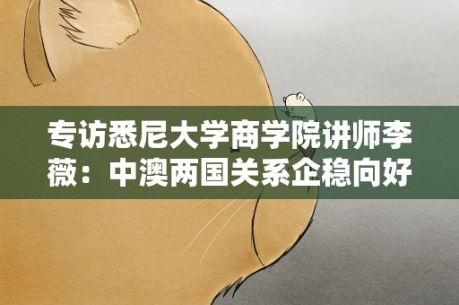 专访悉尼大学商学院讲师李薇：中澳两国关系企稳向好是投资合作的良机