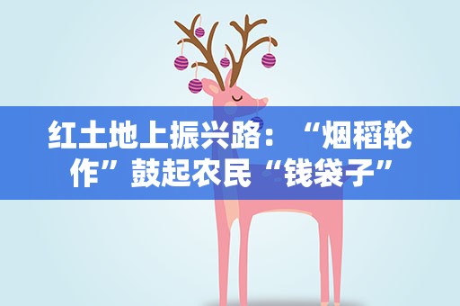 红土地上振兴路：“烟稻轮作”鼓起农民“钱袋子”