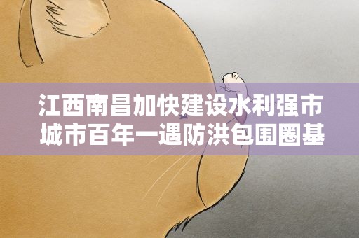 江西南昌加快建设水利强市 城市百年一遇防洪包围圈基本形成