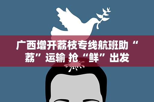 广西增开荔枝专线航班助“荔”运输 抢“鲜”出发