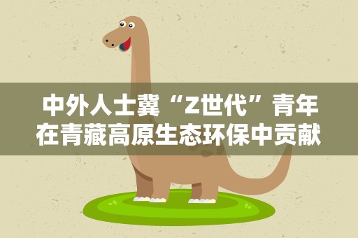 中外人士冀“Z世代”青年在青藏高原生态环保中贡献力量