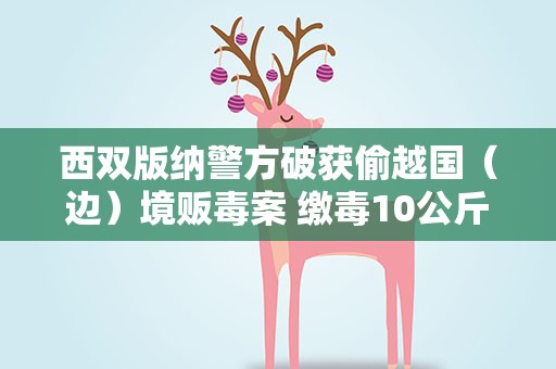西双版纳警方破获偷越国（边）境贩毒案 缴毒10公斤