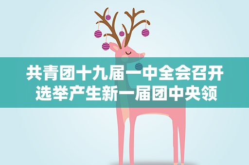 共青团十九届一中全会召开 选举产生新一届团中央领导机构 阿东当选为书记处第一书记