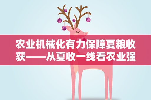 农业机械化有力保障夏粮收获——从夏收一线看农业强国建设之一