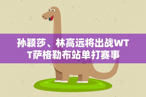 孙颖莎、林高远将出战WTT萨格勒布站单打赛事