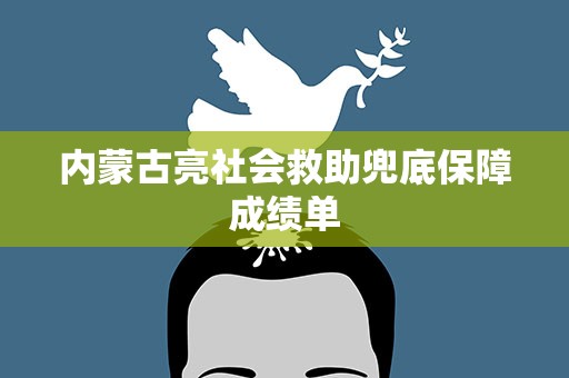 内蒙古亮社会救助兜底保障成绩单