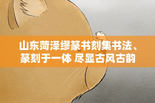 山东菏泽缪篆书刻集书法、篆刻于一体 尽显古风古韵