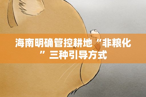 海南明确管控耕地“非粮化”三种引导方式