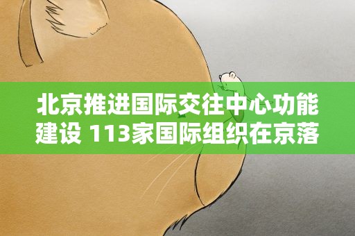 北京推进国际交往中心功能建设 113家国际组织在京落户