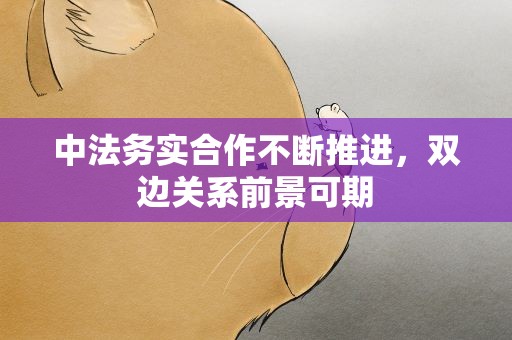中法务实合作不断推进，双边关系前景可期