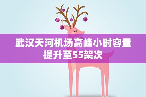 武汉天河机场高峰小时容量提升至55架次