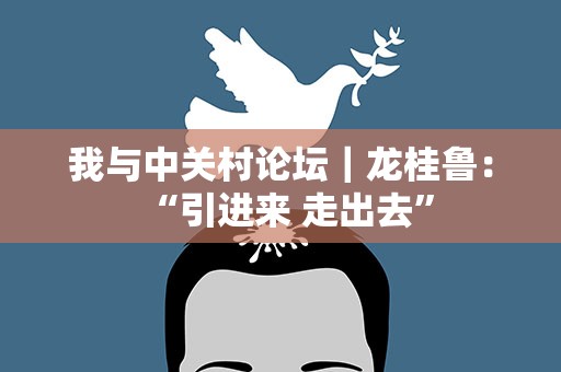 我与中关村论坛｜龙桂鲁：“引进来 走出去”