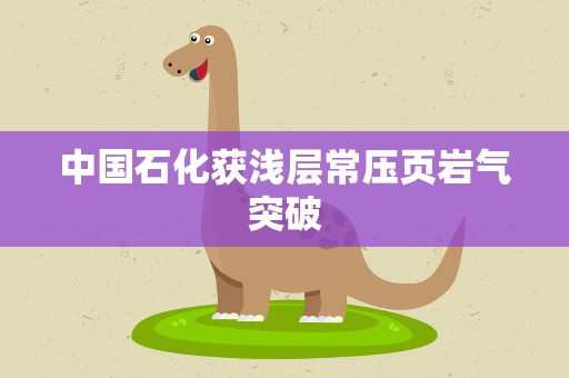 中国石化获浅层常压页岩气突破