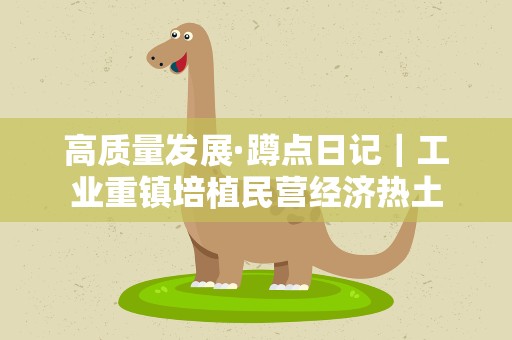 高质量发展·蹲点日记｜工业重镇培植民营经济热土