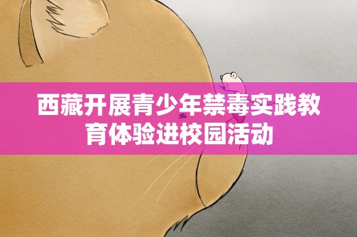 西藏开展青少年禁毒实践教育体验进校园活动
