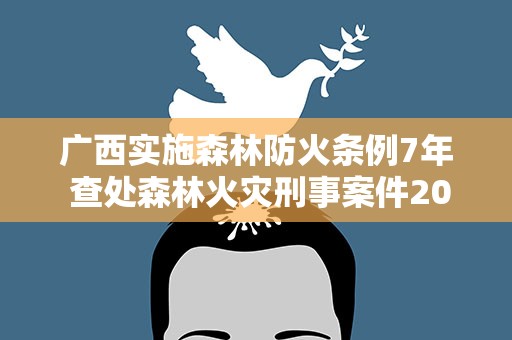 广西实施森林防火条例7年 查处森林火灾刑事案件2031起