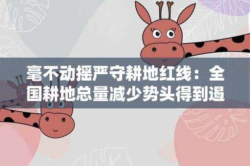 毫不动摇严守耕地红线：全国耕地总量减少势头得到遏制