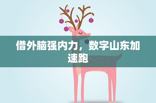 借外脑强内力，数字山东加速跑