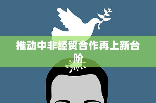 推动中非经贸合作再上新台阶