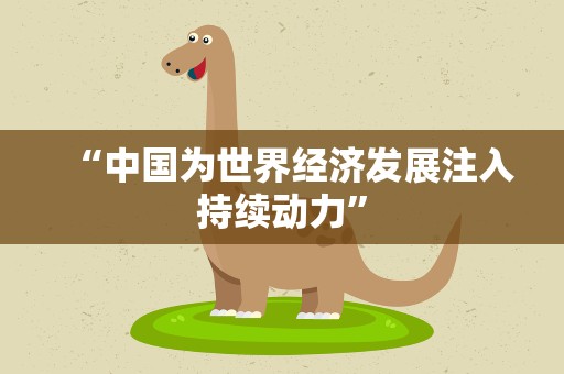 “中国为世界经济发展注入持续动力”