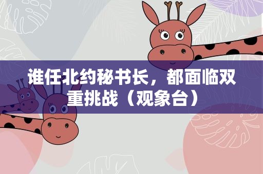 谁任北约秘书长，都面临双重挑战（观象台）