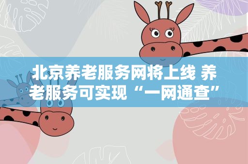 北京养老服务网将上线 养老服务可实现“一网通查”