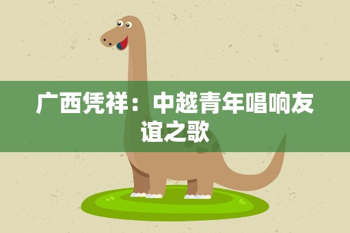 广西凭祥：中越青年唱响友谊之歌