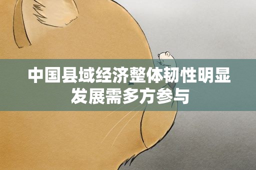 中国县域经济整体韧性明显 发展需多方参与
