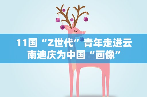 11国“Z世代”青年走进云南迪庆为中国“画像”