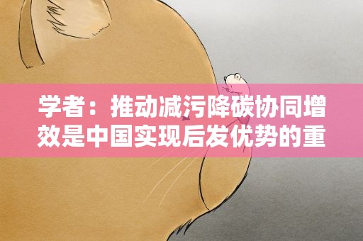 学者：推动减污降碳协同增效是中国实现后发优势的重大机遇