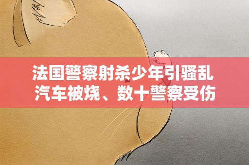 法国警察射杀少年引骚乱 汽车被烧、数十警察受伤