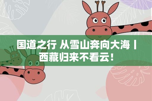 国道之行 从雪山奔向大海丨西藏归来不看云！