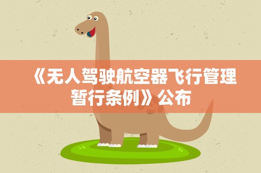 《无人驾驶航空器飞行管理暂行条例》公布