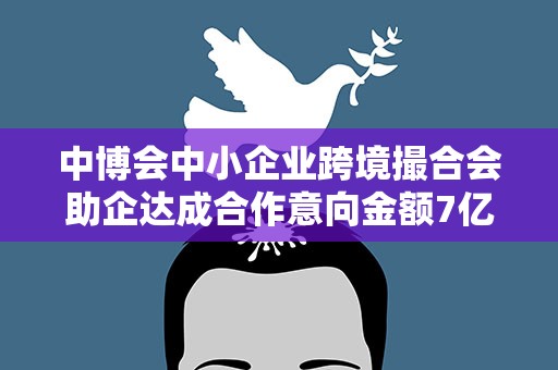 中博会中小企业跨境撮合会助企达成合作意向金额7亿元