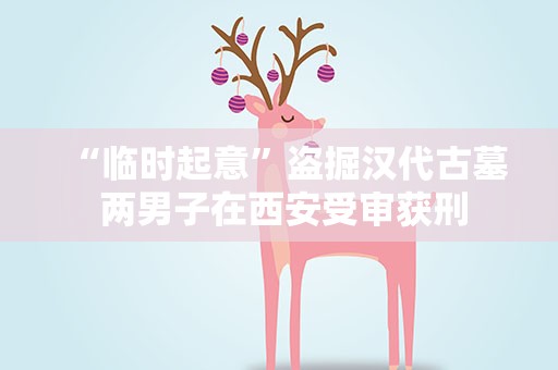 “临时起意”盗掘汉代古墓 两男子在西安受审获刑