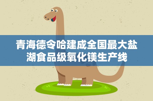 青海德令哈建成全国最大盐湖食品级氧化镁生产线